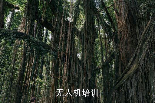 哪里有培训无人机,想学习操作植保无人机