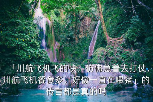 川航都是什么飞机,「川航飞机飞的快