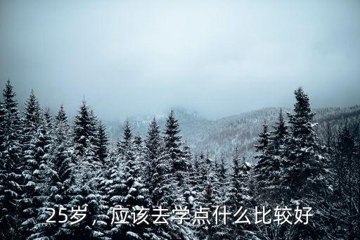 25岁，应该去学点什么比较好