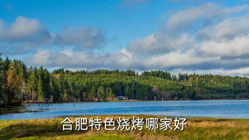 安徽合肥哪里烧烤多,合肥烧烤怎么样