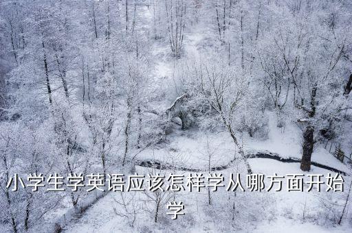 淮北哪里学小学生英语培训,小学生学英语应该怎样学