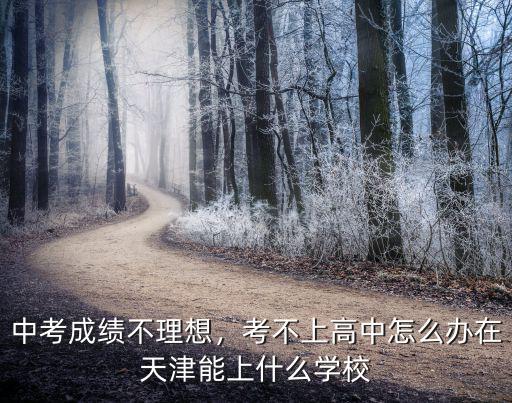 中考成绩不理想，考不上高中怎么办在天津能上什么学校