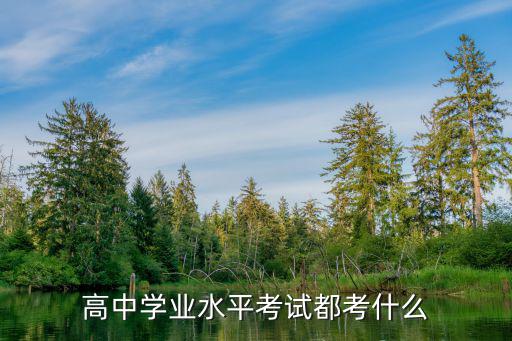 高中学业水平考试都考什么