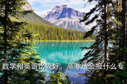 英语好报什么专业,高考适合报什么专业