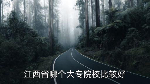 江西省哪个大专院校比较好