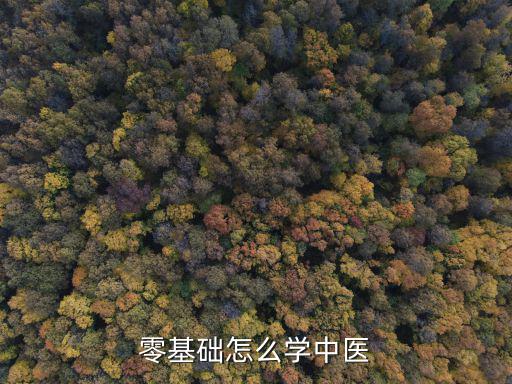 护士怎么学点中医,零基础怎么学中医