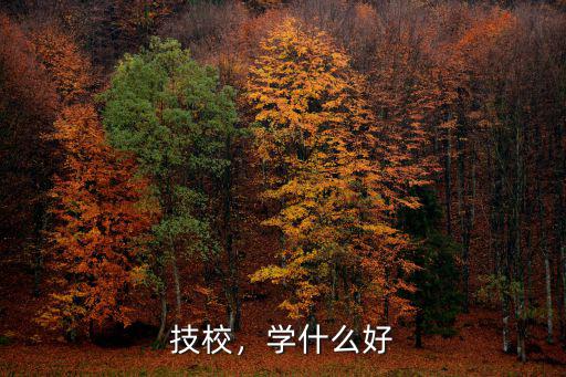 2017去技校学什么好,初中毕业去技校学什么专业好