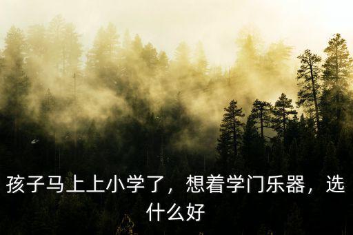 孩子马上上小学了，想着学门乐器，选什么好