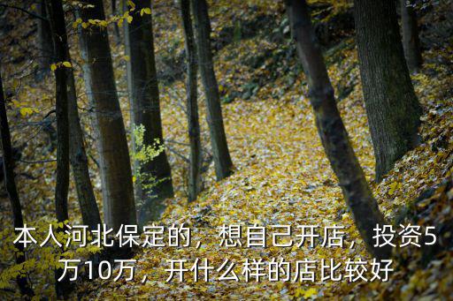 本人河北保定的，想自己开店，投资5万10万，开什么样的店比较好