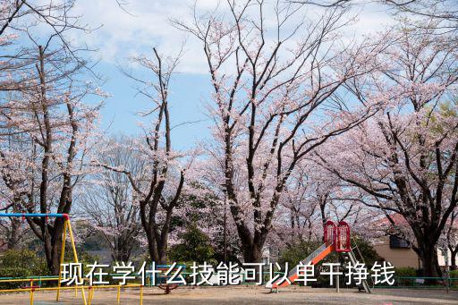 2016年轻人学什么赚钱,现在学什么技能可以单干挣钱