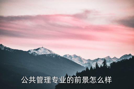 公共管理专业的前景怎么样