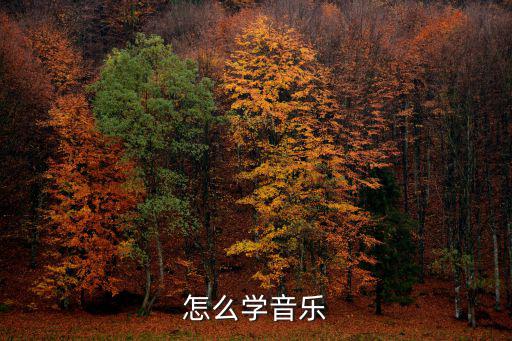 哪里可以学音乐,想去学音乐走艺体