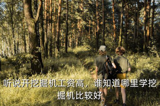 哪里开挖掘工资高,做厨师和开挖掘机哪个工资高