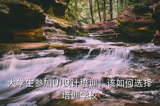 ui设计培训学校怎么选择,大学生参加UI设计培训