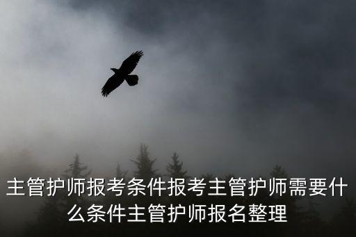 主管护师怎么报名条件,主管护师报考条件
