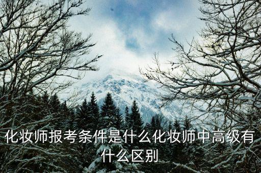 学化妆可以考什么证,化妆师中高级有什么区别