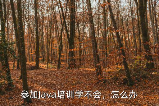 java学不会怎么办,自学又怕学不会怎么办