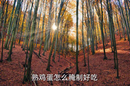 熟鸡蛋怎么腌制好吃