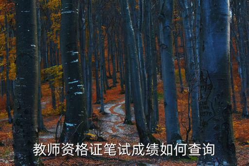 教师资格证成绩查询网址是什么,教师资格证笔试成绩如何查询