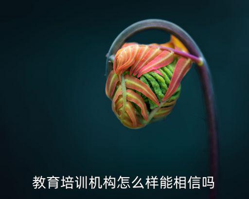 教育培训机构怎么样能相信吗