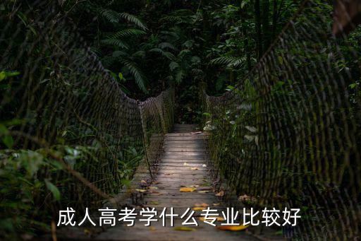 成人高考学什么专业比较好
