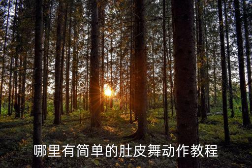 哪里有简单的肚皮舞动作教程