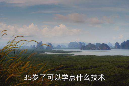 35岁了可以学点什么技术