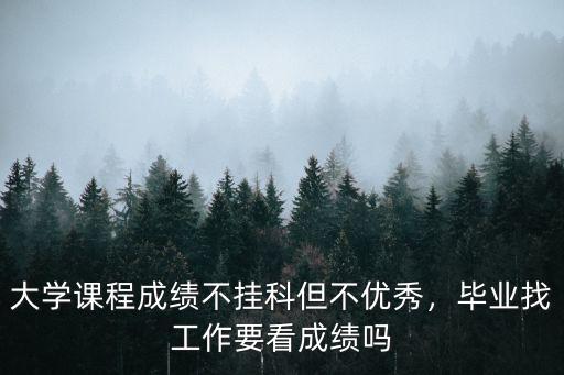 大学课程成绩不挂科但不优秀，毕业找工作要看成绩吗