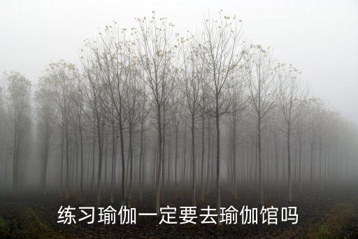 练习瑜伽一定要去瑜伽馆吗