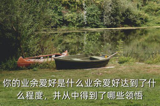 你的业余爱好是什么业余爱好达到了什么程度，并从中得到了哪些领悟