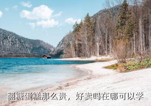翻糖蛋糕那么贵，好卖吗在哪可以学