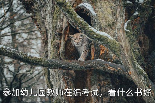 考教师用什么书好,教师考编需要什么书