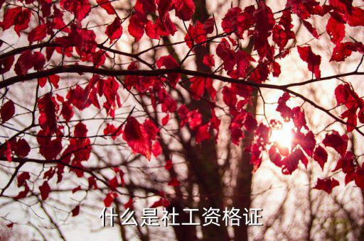 社会职称是什么意思,什么是职务什么是职称