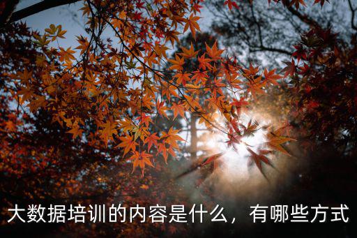 什么是大数据培训,大数据培训都学些什么呢