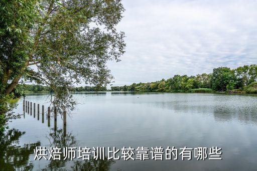 烘焙师培训比较靠谱的有哪些