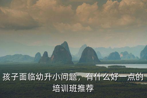 孩子面临幼升小问题，有什么好一点的培训班推荐