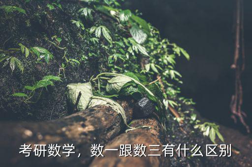 考研数学，数一跟数三有什么区别