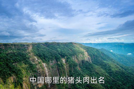 中国哪里的猪头肉出名