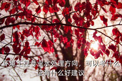 环境工程专业水处理方向，可以考什么证有什么好建议