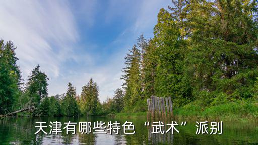 天津武术有什么好处,练武的好处有哪些