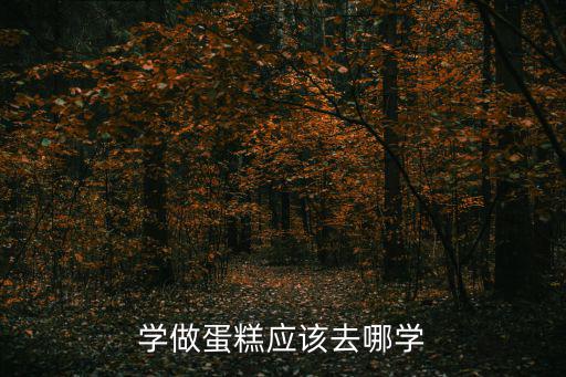 哪里可以做蛋糕,学做蛋糕哪里好