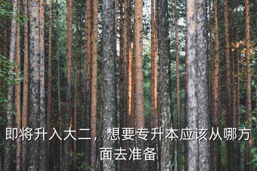 专升本自学准备什么,现在要准备什么