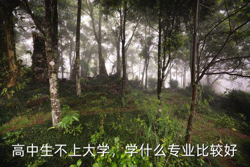 不上大学学什么好,学一门什么技术好