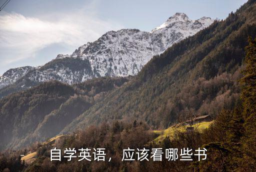 自学考英语看什么书呢,应该看哪些书