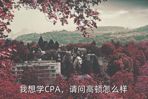 cpa高顿的老师怎么样,请问高顿怎么样