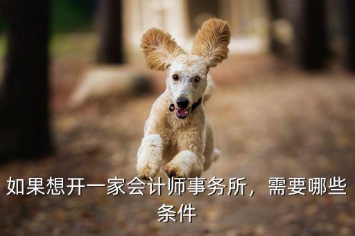 开个会计事务所需要什么条件,如果想开一家会计师事务所