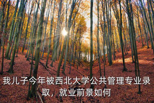 我儿子今年被西北大学公共管理专业录取，就业前景如何