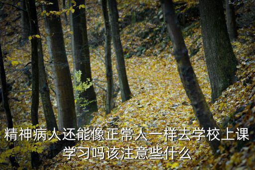 什么是学习支持系统,什么是系统性学习