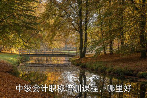 中级会计师培训哪里好,考中级会计师