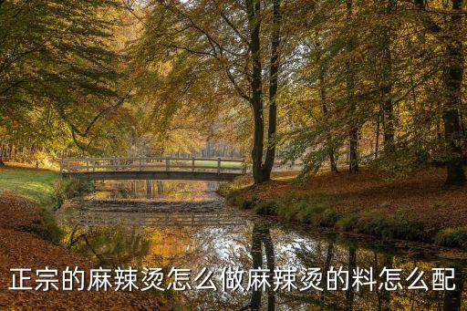 怎么搭配套餐麻辣烫,正宗的麻辣烫怎么做
